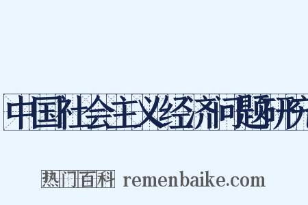 中国社会主义经济问题研究是什么意思的图片